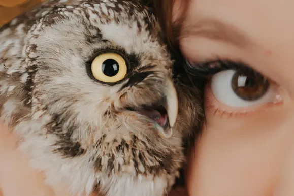 Casino AllStar Slots Ënnerstëtzung